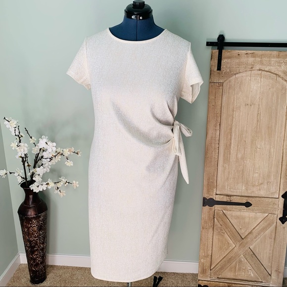Ashley Stewart Dresses & Skirts - Ashley Stewart Side Tie Glitter Dress Size 18/20